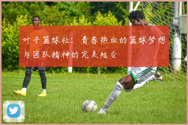 叶子篮球社：青春热血的篮球梦想与团队精神的完美结合