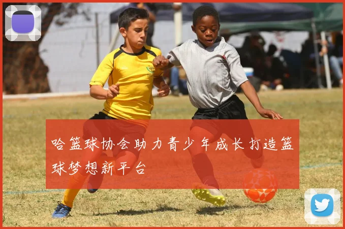 哈篮球协会助力青少年成长打造篮球梦想新平台