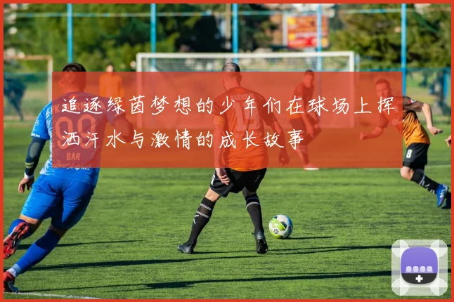 追逐绿茵梦想的少年们在球场上挥洒汗水与激情的成长故事