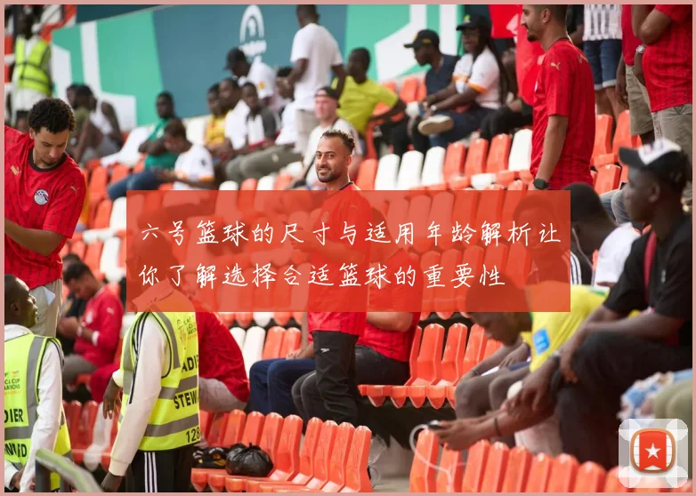 六号篮球的尺寸与适用年龄解析让你了解选择合适篮球的重要性