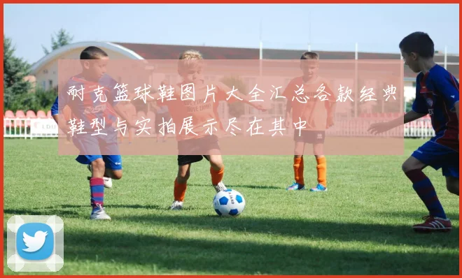 耐克篮球鞋图片大全汇总各款经典鞋型与实拍展示尽在其中