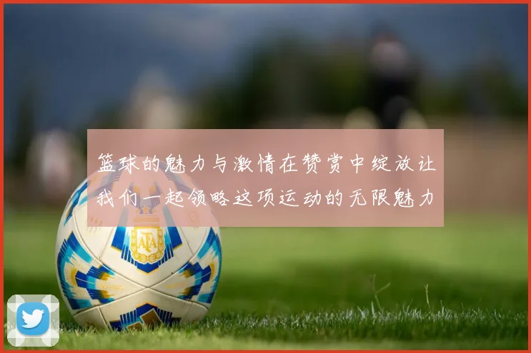 篮球的魅力与激情在赞赏中绽放让我们一起领略这项运动的无限魅力与团队精神
