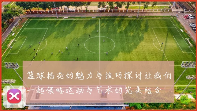 篮球插花的魅力与技巧探讨让我们一起领略运动与艺术的完美结合