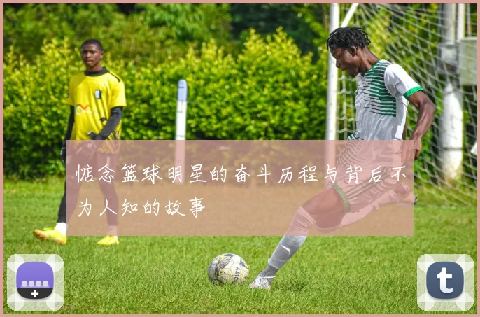 惦念篮球明星的奋斗历程与背后不为人知的故事