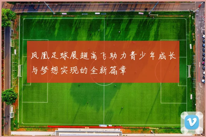 凤凰足球展翅高飞助力青少年成长与梦想实现的全新篇章
