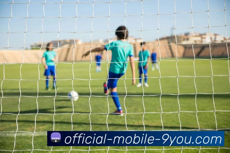 九游体育平台平台生态图